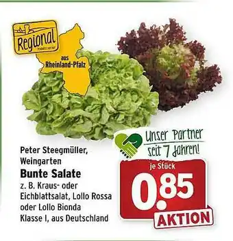 Wasgau Peter Steegmüller Weingarten Bunte Salate Angebot