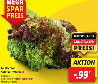 Lidl Multicolor Salat mit Wurzeln Angebot