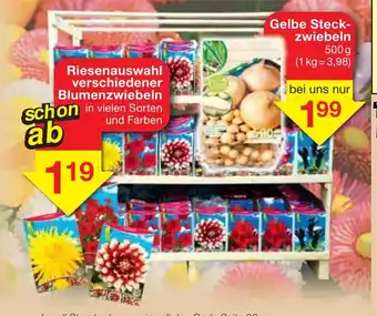 Jawoll Gelbe Steckzwiebeln 500g Angebot