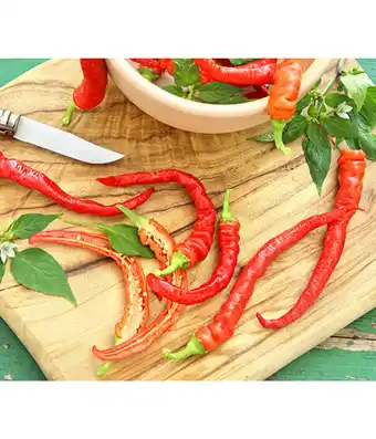 Dehner Milde Peperoni Angebot
