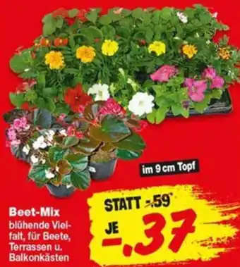 Repo Markt Beet-Mix Angebot