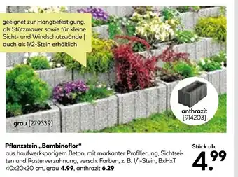 BayWa Pflanzstein,,Bambinoflor" Angebot