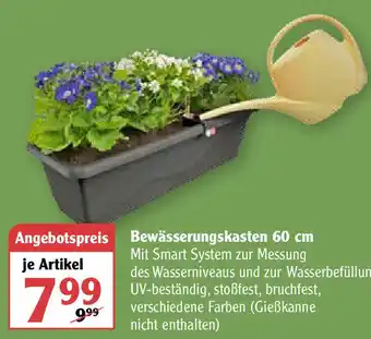 Globus Bewässerungskasten 60 cm Angebot