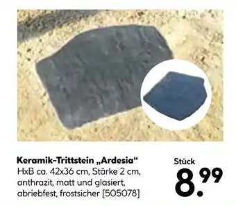 BayWa Keramik-Trittstein,,Ardesia" Angebot