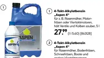 BayWa ASPEN 4-Takt-Alkylatbenzin „Aspen 4" 5L Angebot