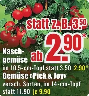 B1 Discount Baumarkt Naschgemüse Angebot