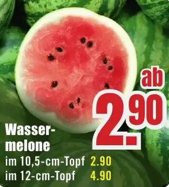 B1 Discount Baumarkt Wassermelone Angebot
