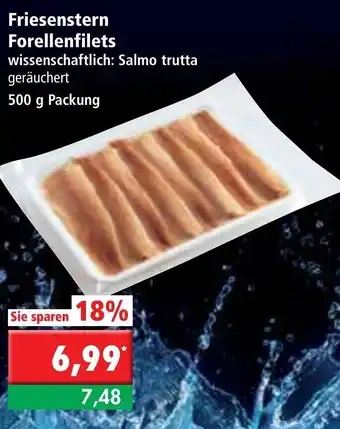 L. STROETMANN GROSSMARKT Friesenstern Forellenfilets 500g Angebot