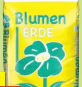 Thomas Philipps Blumenerde Angebot