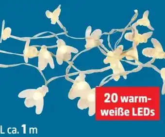 Thomas Philipps LED Solar-Bienen-Lichterkette Angebot