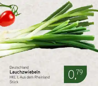 Dornseifer Deutschland Lauchzwiebeln Angebot