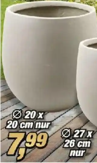 Posten Börse Blumentopf ,,Armin" Angebot