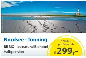 Edeka Neukauf Nordsee Tönning Angebot