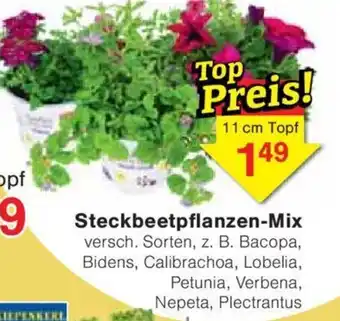 Jawoll Steckbeetpflanzen-Mix Angebot