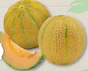 Edeka Frischemarkt Cantaloupe Melone Angebot