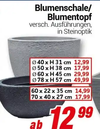 CENTERSHOP Blumenschale/ Blumentopf Angebot