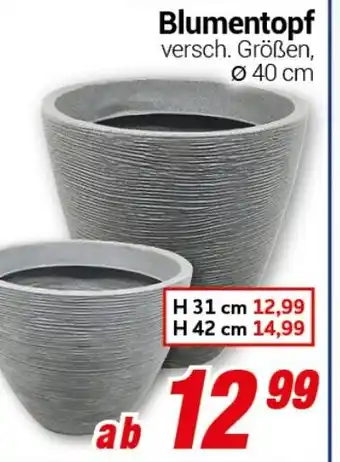 CENTERSHOP Blumentopf Angebot