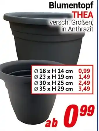 CENTERSHOP Blumentopf THEA Angebot