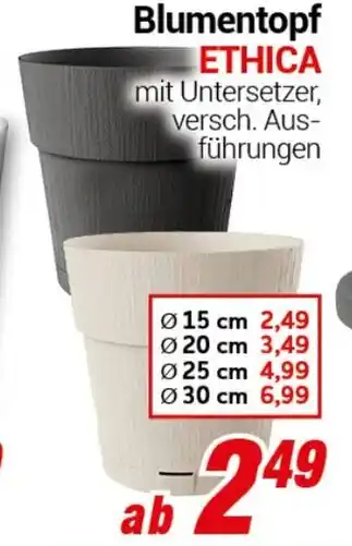 CENTERSHOP Blumentopf ETHICA Angebot