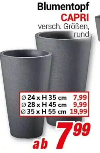 CENTERSHOP Blumentopf CAPRI Angebot