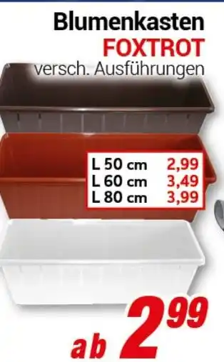 CENTERSHOP Blumenkasten Angebot