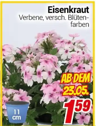 CENTERSHOP Eisenkraut Angebot