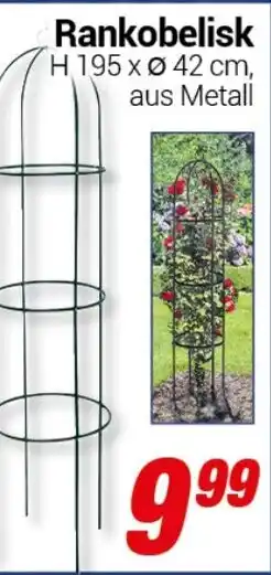 CENTERSHOP Rankobelisk Angebot