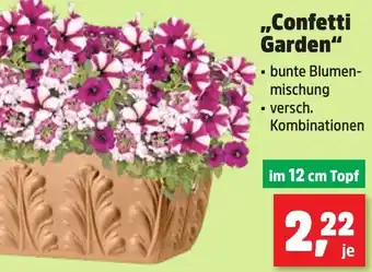 Thomas Philipps Confetti Garden Angebot