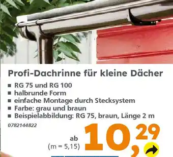 Globus Baumarkt Profi-Dachrinne für kleine Dächer Angebot