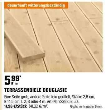 OBI TERRASSENDIELE DOUGLASIE Angebot