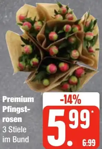 Edeka Frischemarkt Premium Pfingstrosen Angebot