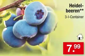 Zimmermann Heidelbeeren Angebot