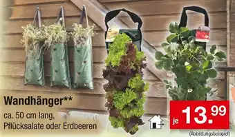 Zimmermann Wandhänger Angebot