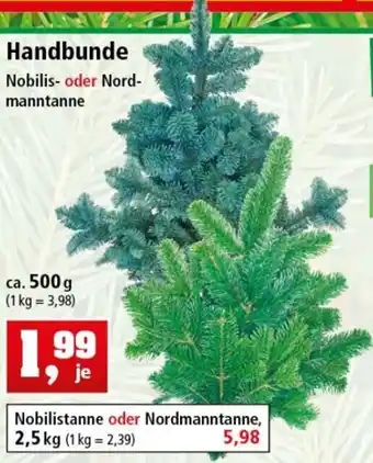 Thomas Philipps Handbunde 500g Angebot