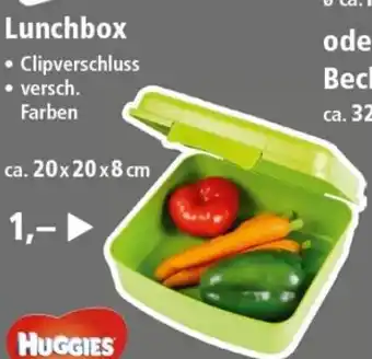 Thomas Philipps Lunchbox Angebot