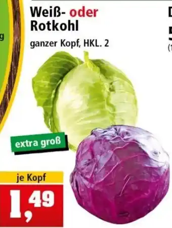 Thomas Philipps Weiss- o. Rotkohl Angebot