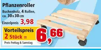 Thomas Philipps Pflanzenroller Angebot