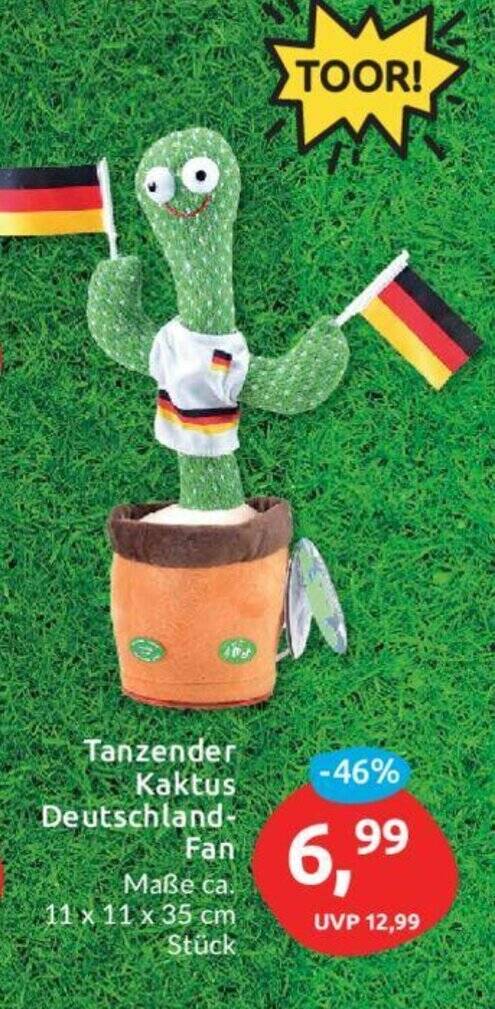 Kgler Sprechender Kaktus - Labertier Fan-Kaktus Fuball EM - Lustiges  Plschtier Zum Mitreden Nachsprechendes Plschtier
