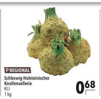 CITTI Markt Schleswig-holsteinischer Knollensellerie Angebot