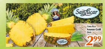 inkoop Costa Rica Ananas Gold Angebot