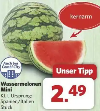 Combi Wassermelonen Mini Angebot