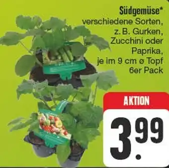 Edeka Südgemüse 6er Pack Angebot