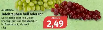 Feneberg Tafeltrauben hell oder rot 1kg Angebot