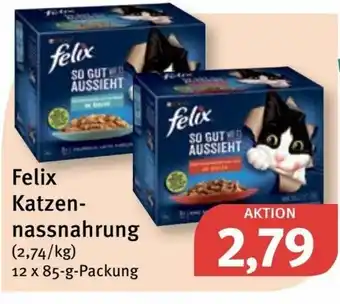 Feneberg Felix Katzennassnahrung 12x85g Angebot