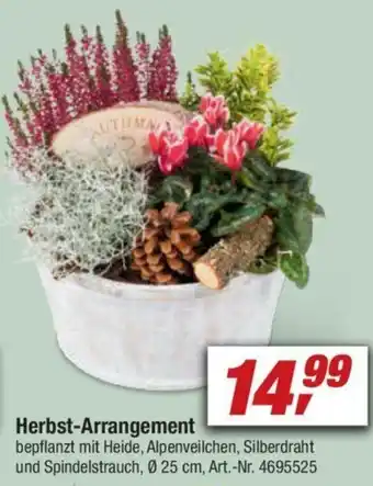 toom Baumarkt Herbst Arrangement Angebot