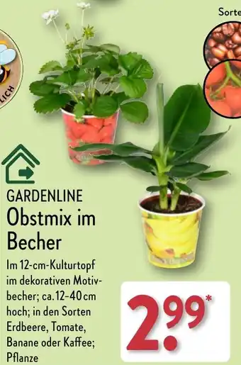 Aldi Nord GARDENLINE Obstmix im Becher Angebot