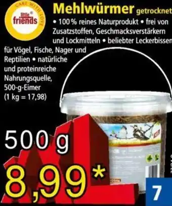 Norma little friends Mehlwürmer  500 g Angebot