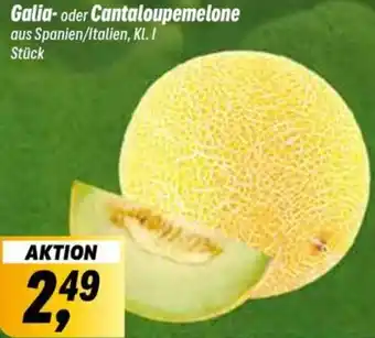 Simmel Galia oder Cantaloupemelone Angebot
