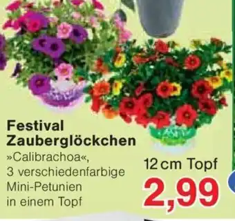 Jawoll Festival Zauberglöckchen Angebot