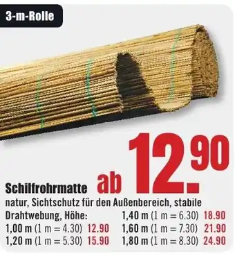 B1 Discount Baumarkt Schilfrohrmatte Angebot